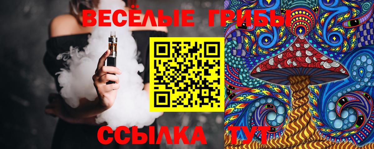 Златоуст  Галлюциногенные грибы Cubensis  Вход с VPN 