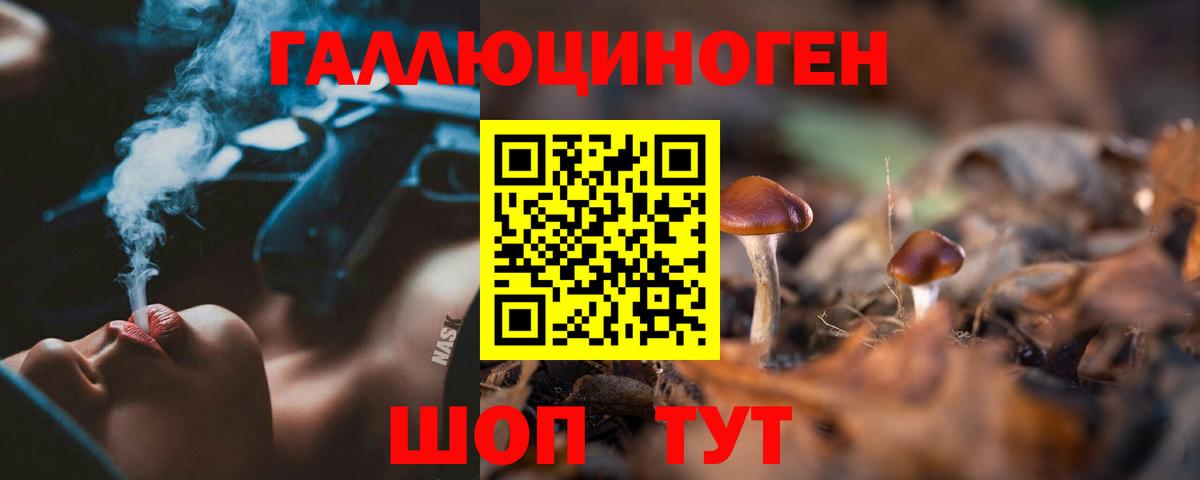 Псилоцибиновые грибы GOLDEN TEACHER Златоуст